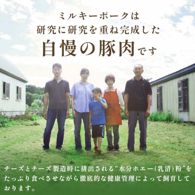 ミルキーポークのハンバーグとバラエティセット(ハンバーグ・餃子・ソーセージ 計24個)【15008】