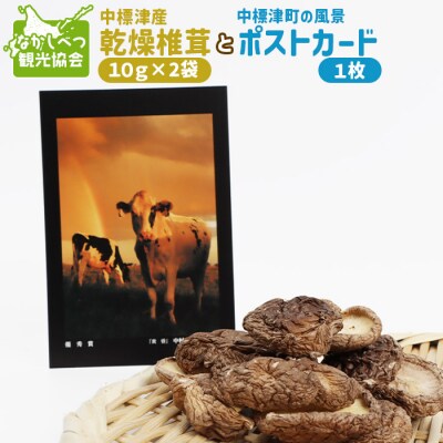 中標津産乾燥椎茸 10g×2袋 計20g　なかしべつ観光協会バージョン【32008】