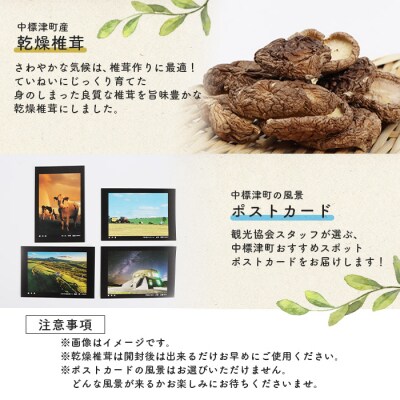 中標津産乾燥椎茸 10g×2袋 計20g　なかしべつ観光協会バージョン【32008】