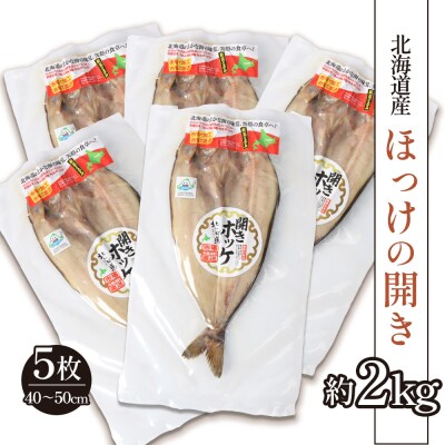 「豊富な旨み」北海道産 ふっくらとしたホッケ開き5枚 40cm～50cm 約2kg【2500301】