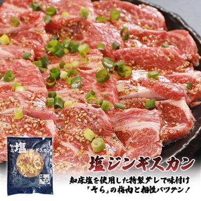 【定期便:全3回】ジンギスカン味付「塩ダレ」生ラム900g【1601702】