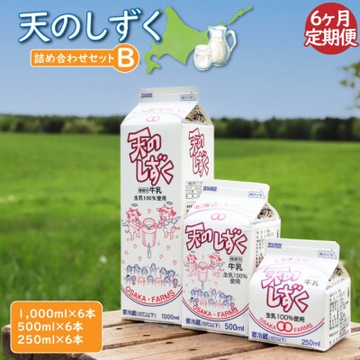 【定期便:全6回】天のしずく　詰め合わせセットB　合計10.5L　【51004】