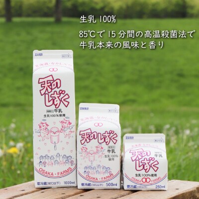 【定期便:全6回】天のしずく　詰め合わせセットB　合計10.5L　【51004】