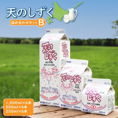 天のしずく　詰め合わせセットB　合計10.5L　【5100201】