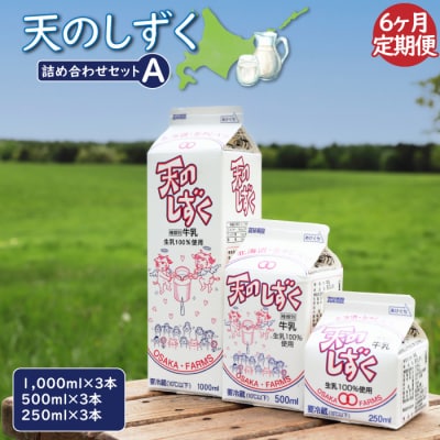 【定期便:全6回】天のしずく　詰め合わせセットA　合計5.2L【5100301】