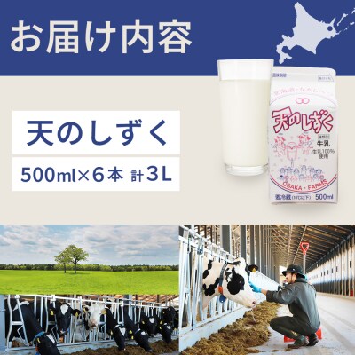 天のしずく 500ml × 6本 計 3L【5100601】