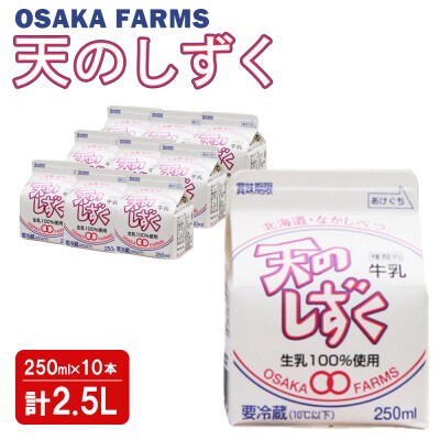 天のしずく 250ml × 10本 計 2.5L【5100501】