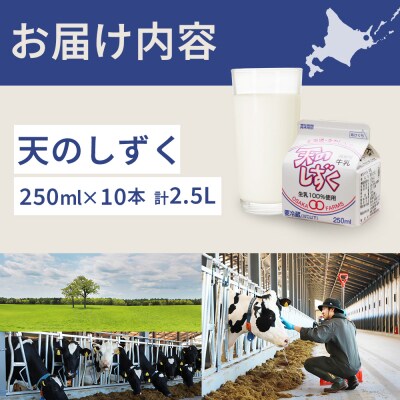 天のしずく 250ml × 10本 計 2.5L【5100501】
