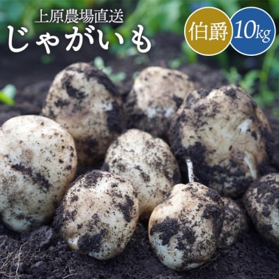上原農場直送　じゃがいも(伯爵) 10kg【S～2Lサイズ混合】【6600301】