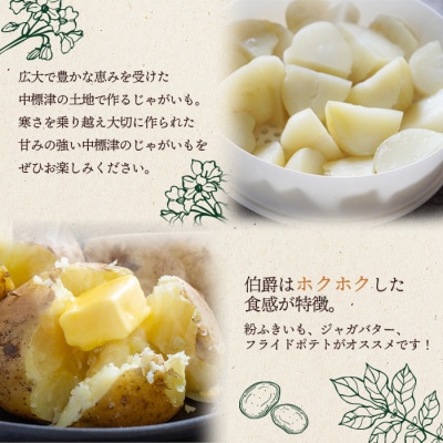 上原農場直送　じゃがいも(伯爵) 10kg【S～2Lサイズ混合】【6600301】