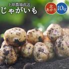 【先行予約】上原農場直送　じゃがいも(北あかり) 10kg【S～2Lサイズ混合】【66004】