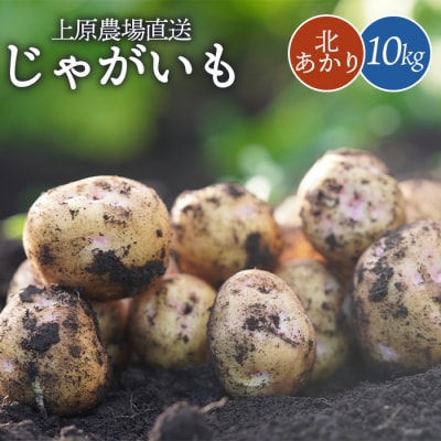 上原農場直送　じゃがいも(北あかり) 10kg【S～2Lサイズ混合】【6600401】