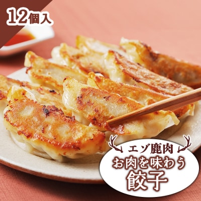 エゾ鹿肉 お肉を味わう餃子 12個入【3001301】