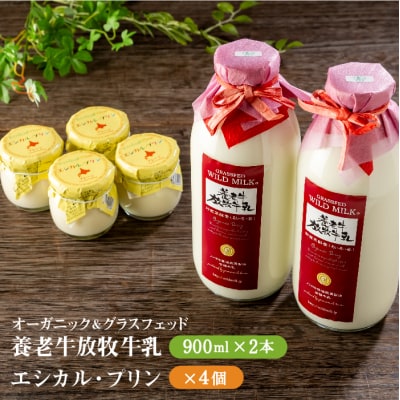 オーガニック&グラスフェッド養老牛放牧牛乳900ml×2本とエシカル・プリン4個【1301202】