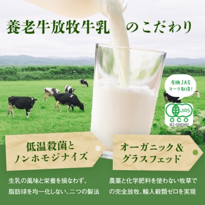 オーガニック&グラスフェッド養老牛放牧牛乳900ml×2本とエシカル・プリン4個【1301202】