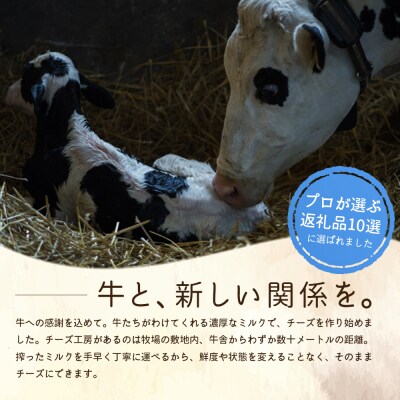 竹下牧場 takeshita farm【3ヶ月配送】マリボーチーズセット 510g【2401503】