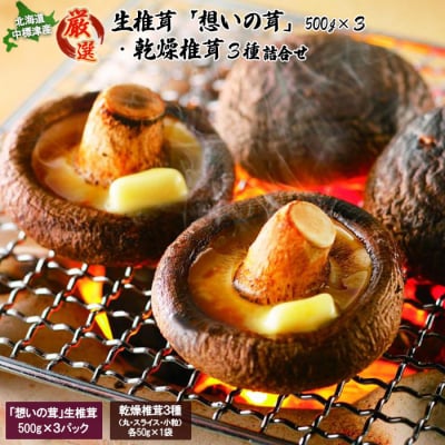 「想いの茸」生椎茸と乾燥椎茸詰め合わせ【2900101】