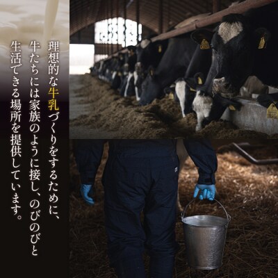 味覚のふきだまり　" 13個入り" 計450g【52003】