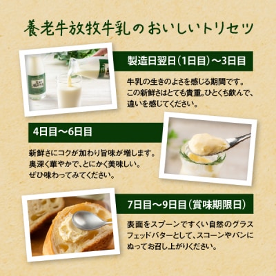 【定期便:全3回】オーガニック&グラスフェッド養老牛放牧牛乳900ml×3本【1300801】