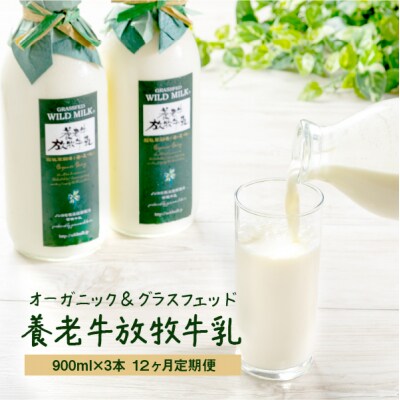 【定期便:全12回】オーガニック&グラスフェッド養老牛放牧牛乳900ml×3本【1301701】