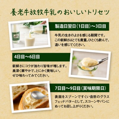 【定期便:全12回】オーガニック&グラスフェッド養老牛放牧牛乳900ml×3本【1301701】