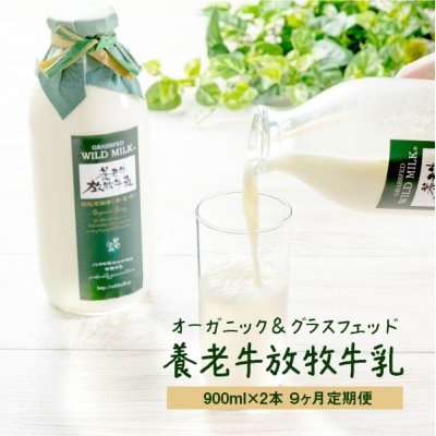 【定期便:全9回】オーガニック&グラスフェッド養老牛放牧牛乳900ml×2本【1301402】