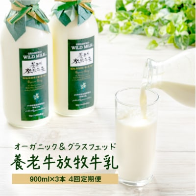 【定期便:全4回】オーガニック&グラスフェッド養老牛放牧牛乳900ml×3本【1300901】