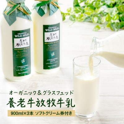 オーガニック&グラスフェッド養老牛放牧牛乳900ml×3本 《ソフトクリーム券付》【1300101】