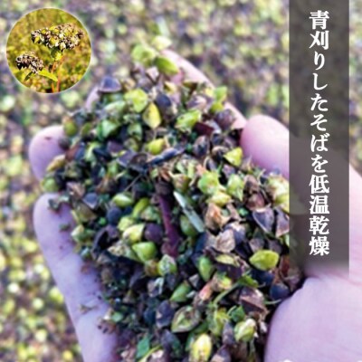 【オーガニック】上原農場 有機原料 そばの実1kg(500g×2)【30002】