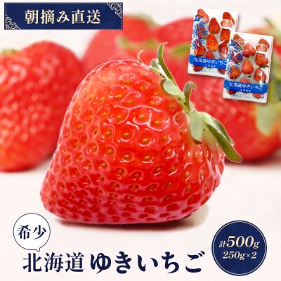 【北海道産】ゆきいちご(すずor恋みのり) 2Pセット 各250g×2 計500g【5900503】