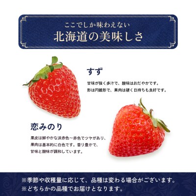 【北海道産】ゆきいちご(すずor恋みのり) 2Pセット 各250g×2 計500g【5900501】