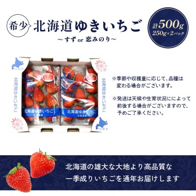 【北海道産】ゆきいちご(すずor恋みのり) 2Pセット 各250g×2 計500g【5900501】