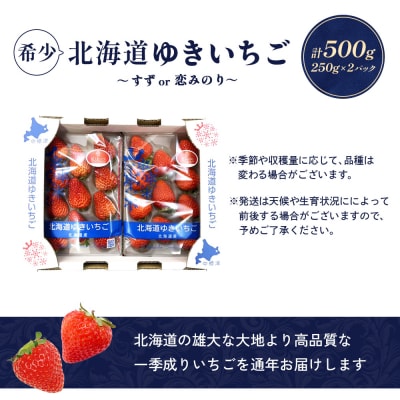【北海道産】ゆきいちご(すずor恋みのり) 2Pセット 各250g×2 計500g【5900502】