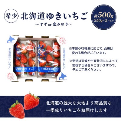 【北海道産】ゆきいちご(すずor恋みのり) 2Pセット 各250g×2 計500g【5900503】