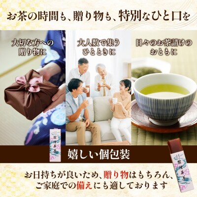 【定期便:全3回】標津羊羹 (一口サイズ) 50g ×12本 計600g【2201301】