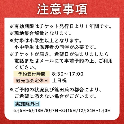 世界チャンピオンから教わるバルーンアート体験チケット(1組分)【32026】