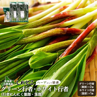 行者にんにく3袋(葉部・茎部)グリーン行者×2袋 ホワイト行者×1袋【2001901】