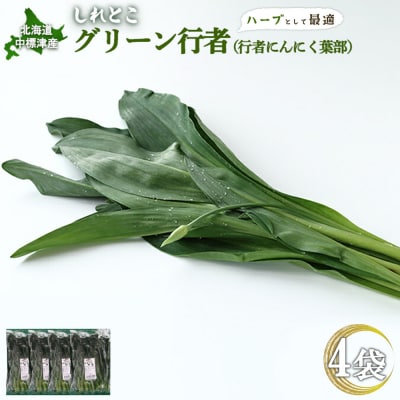 【ハーブとして最適】行者にんにくグリーン行者×4袋 (葉部)【2002001】
