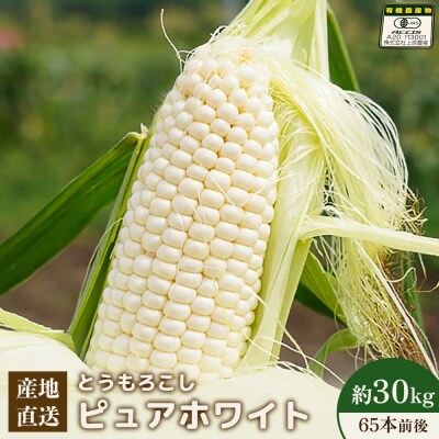 【2027年度発送分】有機栽培とうもろこし(ピュアホワイト)1箱30kg 約65本【6601801】