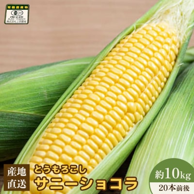 【2026年度発送分】有機栽培とうもろこし (サニーショコラ)約10kg 約20本【66020】