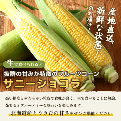 【2026年度発送分】有機栽培とうもろこし (サニーショコラ)約10kg 約20本【66020】