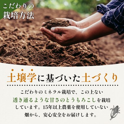 【2026年度発送分】有機栽培とうもろこし (サニーショコラ)約10kg 約20本【66020】