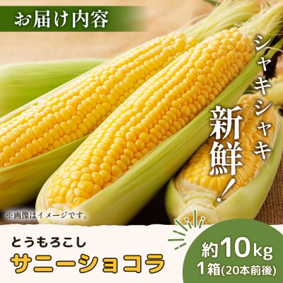【2026年度発送分】有機栽培とうもろこし (サニーショコラ)約10kg 約20本【66020】