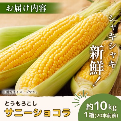 【2026年度発送分】有機栽培とうもろこし (サニーショコラ)約10kg 約20本【6602001】