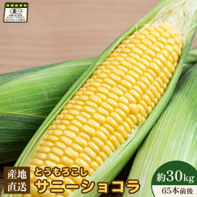 【2026年度発送分】有機栽培とうもろこし (サニーショコラ) 約30kg【6602101】
