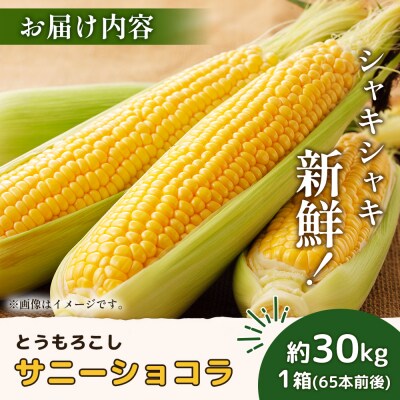 【2026年度発送分】有機栽培とうもろこし (サニーショコラ) 約30kg【66021】