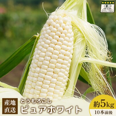 【2026年度発送分】有機栽培とうもろこし (ピュアホワイト) 5kg 約10本前後【66016】