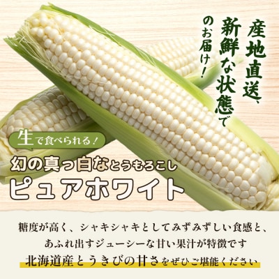 【2026年度発送分】有機栽培とうもろこし (ピュアホワイト) 5kg 約10本前後【66016】