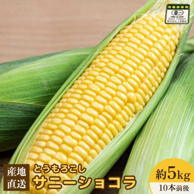 【先行受付】有機栽培とうもろこし (サニーショコラ) 約5kg 約10本前後【66019】