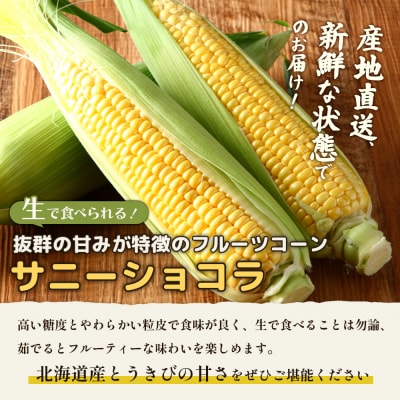【2026年発送分】有機栽培とうもろこし (サニーショコラ) 約5kg約10本前後【6601902】